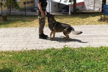 Ukážka výcviku policajných psov