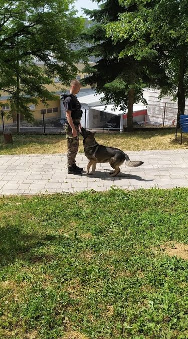 Ukážka výcviku policajných psov