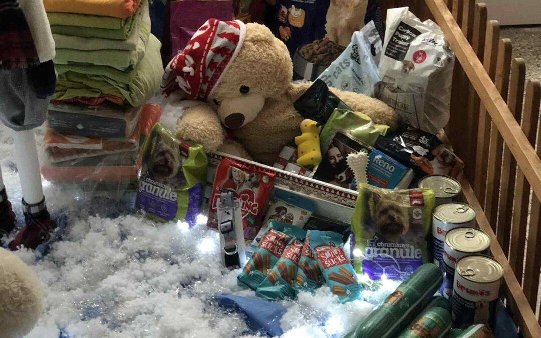 Vianočná zbierka pre psíkov