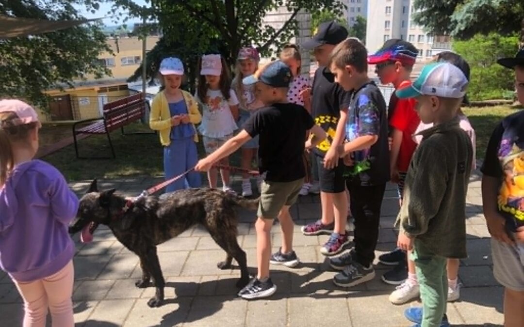 Ukážka práce policajného psovoda